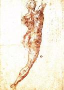 Michelangelo Buonarroti Study for a Nude oil on canvas